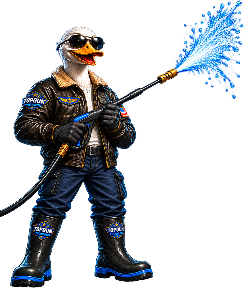 TopGun ProWash mascot